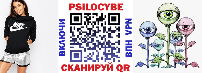 купить наркотик  Пятигорск  Псилоцибиновые грибы Cubensis 